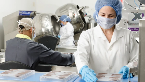 Food Industry Cleanroom Wipers for Hygienic Processing & Facility Cleaning